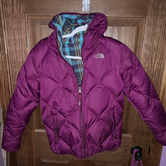 The North Face Other - North Face Purple Winter Jacket